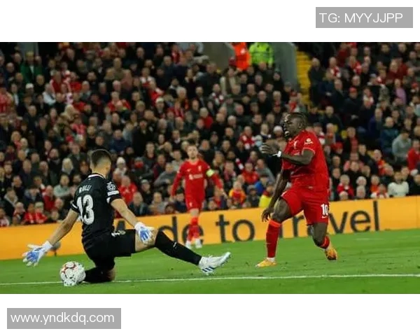 欧联杯精彩对决曼联大胜利物浦乌龙球成焦点瞬间引发全场狂欢